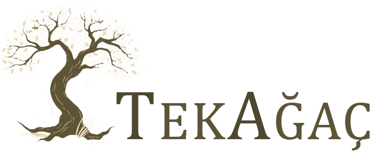 https://tekagac.org.tr/wp-content/uploads/2023/12/png-e1703930165961-300x119.png
