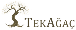 https://tekagac.org.tr/wp-content/uploads/2023/12/png-e1703930165961-300x119.png